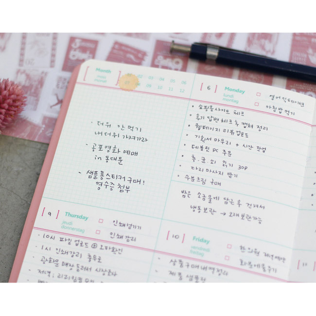 Weekly - Wannabe unique undated medium diary