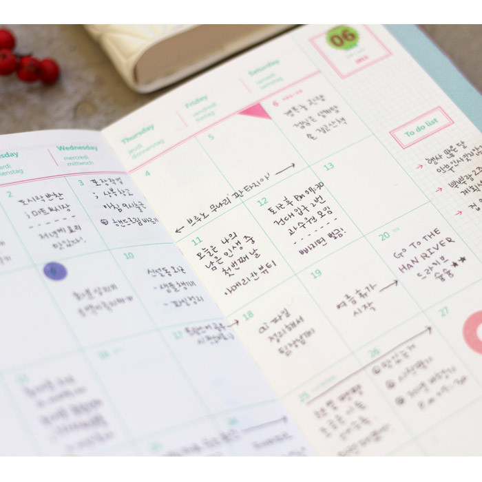 Monthly - 2015 Wannabe unique dated small diary