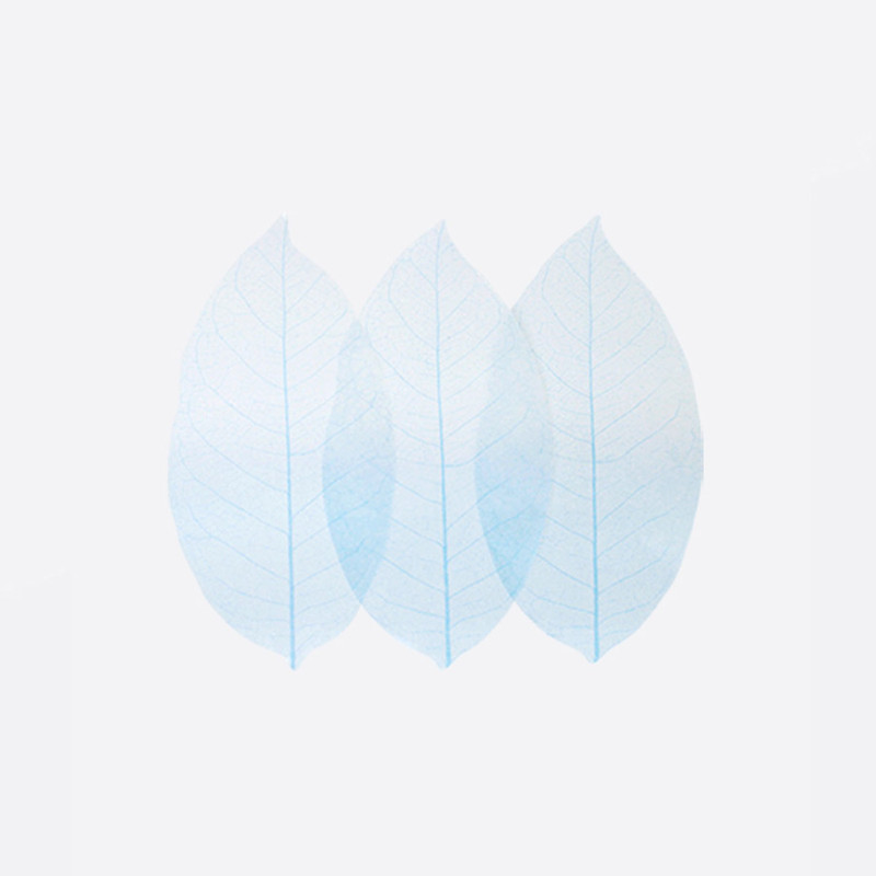 Birch leaf transparent sticky memo notes Large Birch leaf transparent sticky memo notes Large