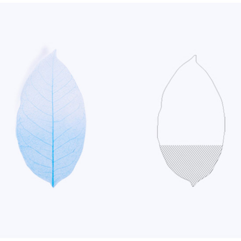 Birch leaf transparent sticky memo notes Large Birch leaf transparent sticky memo notes Large