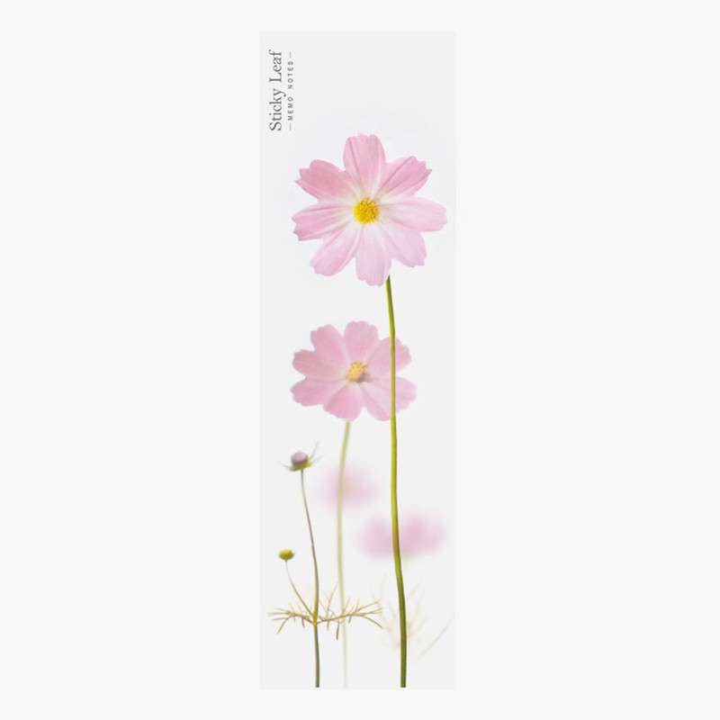 Pink cosmos sticky memo notes Pink cosmos sticky memo notes