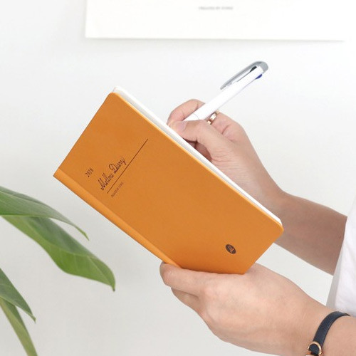 2016 Iconic Mellow illustration dated diary