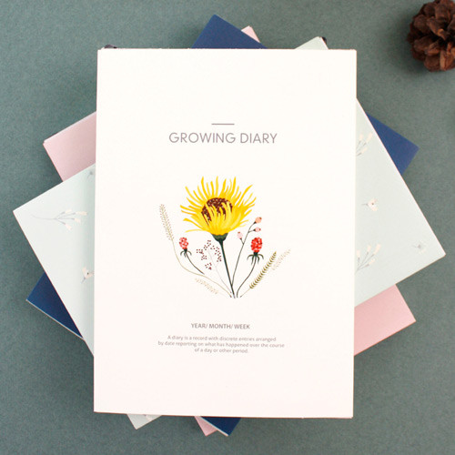 2016 Growing for a dream undated diary