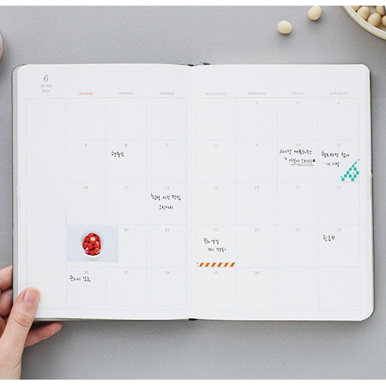 Monthly  - 2016 Object dated weekly diary