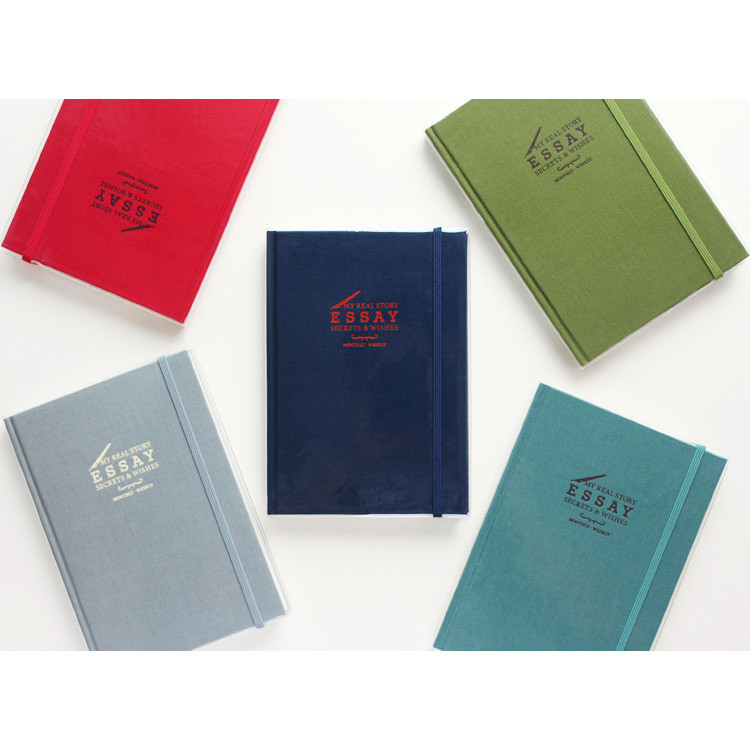 2016 My real story essay undated diar