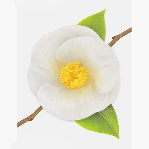 Camellia leaf white sticky memo notes Small