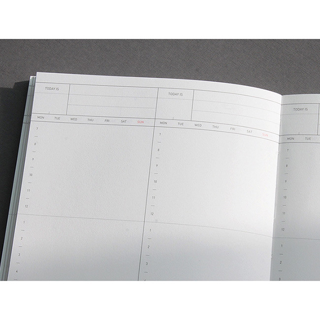 Time plan (weekly plan)