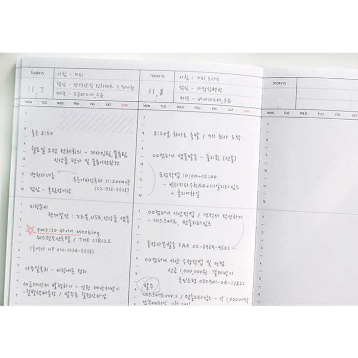 Time plan (weekly plan)