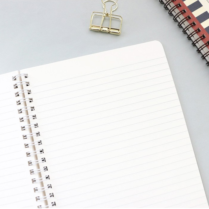 Becoming wirebound undated monthly planner