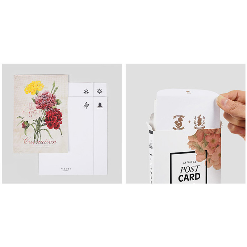 Flower illustration postcard set Flower illustration postcard set