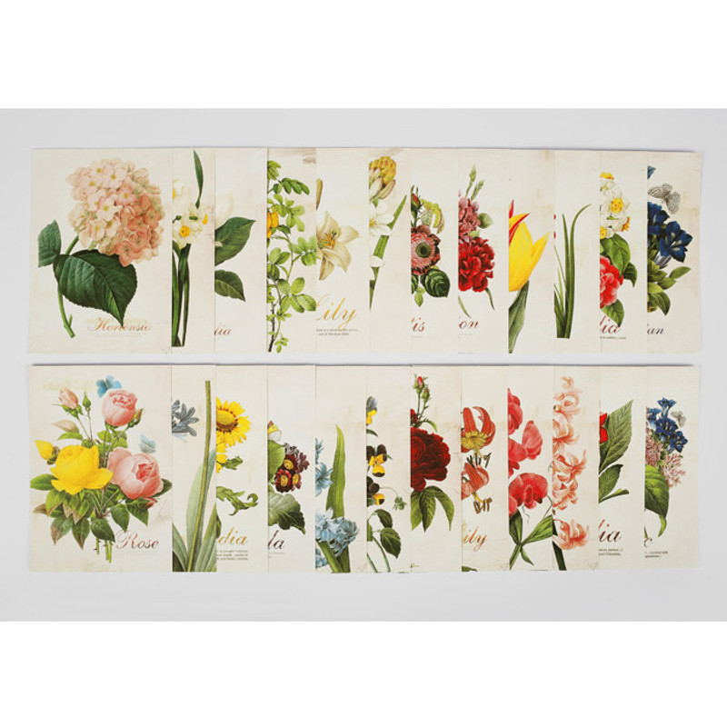 Flower illustration postcard set Flower illustration postcard set
