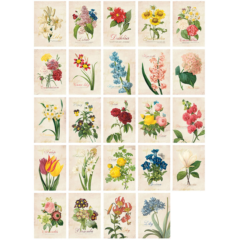 Flower illustration postcard set Flower illustration postcard set
