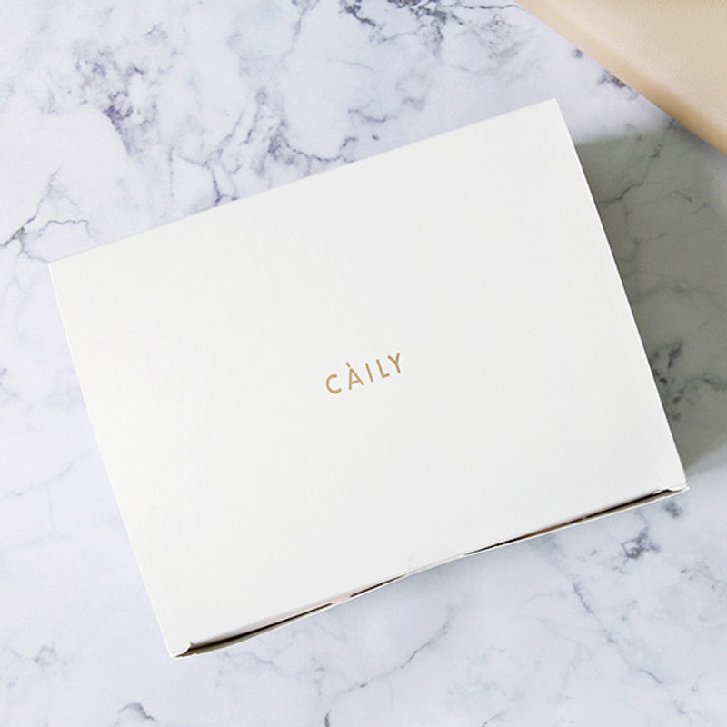 Package for Classic Caily crossbody shoulder bag Package for Classic Caily crossbody shoulder bag