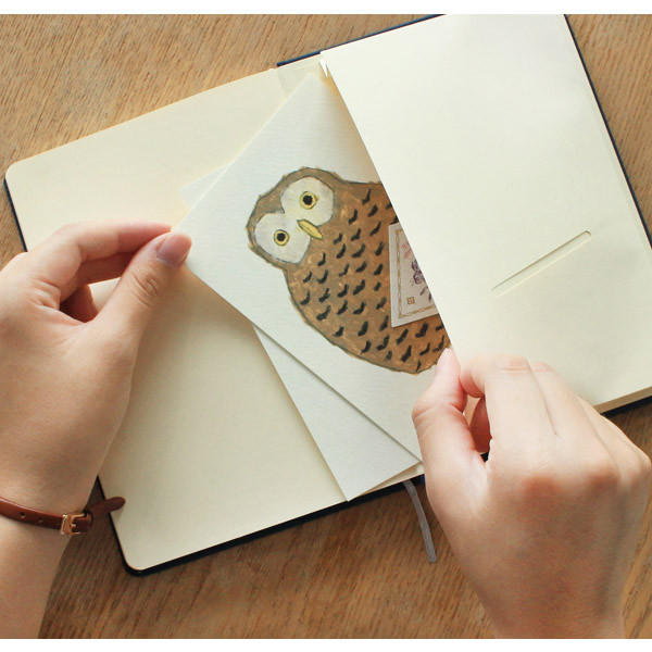 Inside pocket - 2017 Paperian My real story essay undated diary