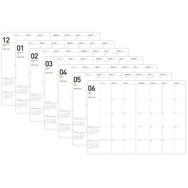Monthly plan - 2017 Ardium Simple dated large planner