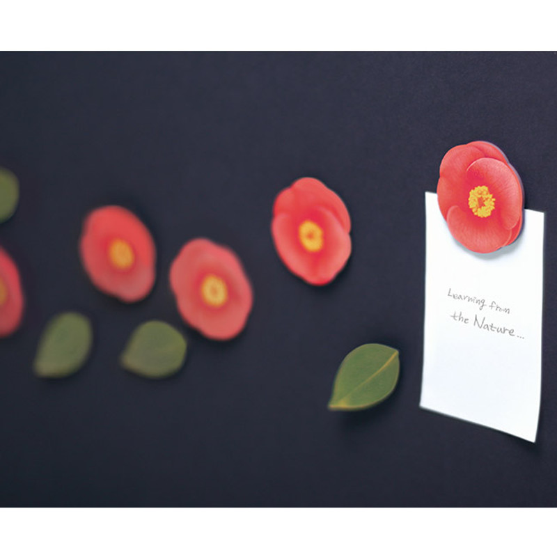 Example of use Example of use