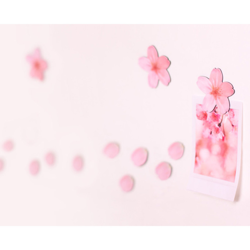 Appree Cherry blossom magnet set 