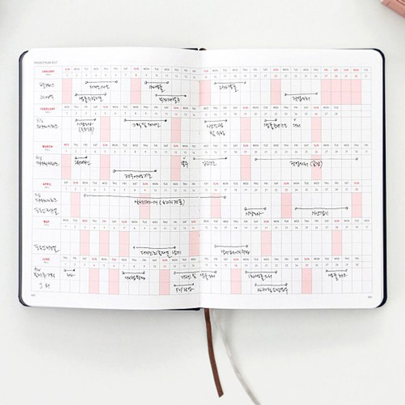 Project plan - Brilliant simple business dated planner 