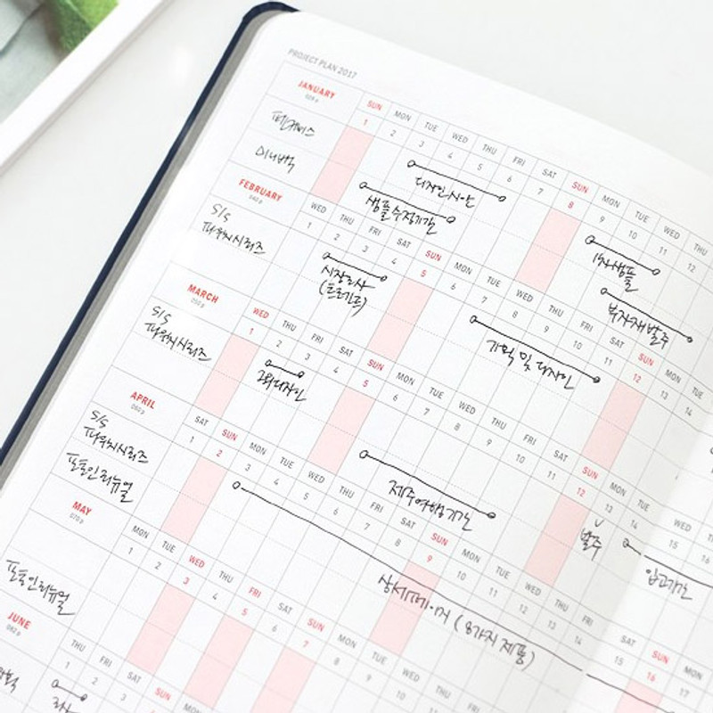Project plan - Brilliant simple business dated planner 