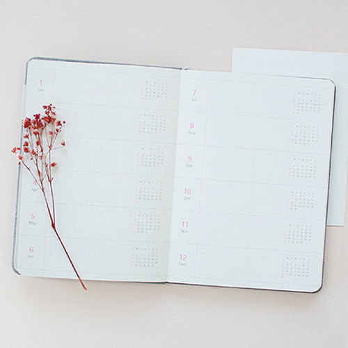 Yearly plan - 2017 Day by Day large dated diary