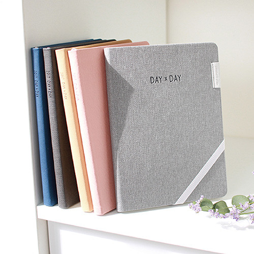 2017 Day by Day large dated diary