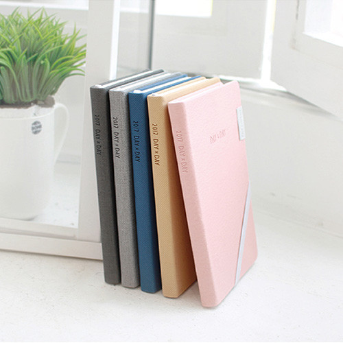 2017 Day by Day large dated diary