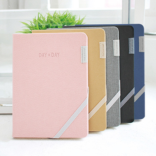 2017 Day by Day large dated diary