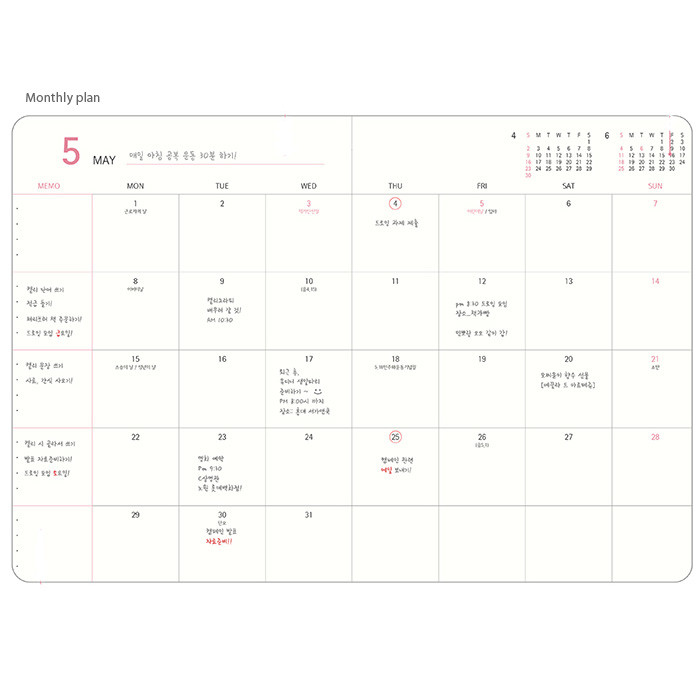 Monthly plan - 2017 Day by Day large dated diary