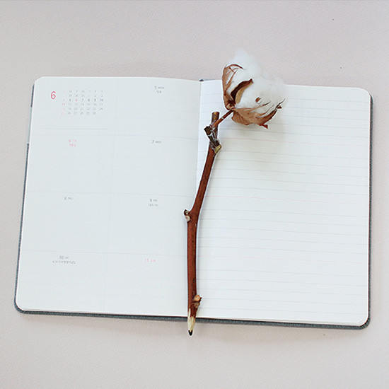 Weekly plan - 2017 Day by Day large dated diary