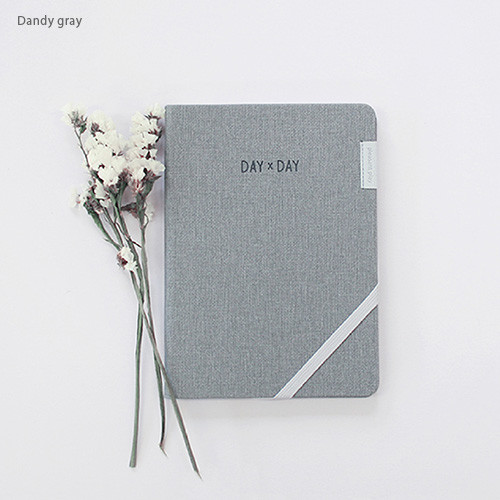 Dandy gray - 2017 Day by Day large dated diary