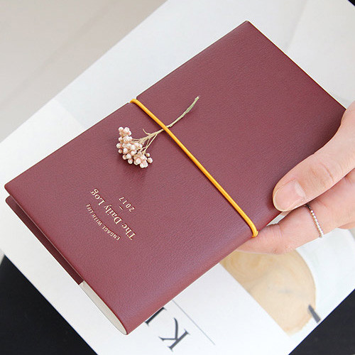 2017 Engage with life small dated diary