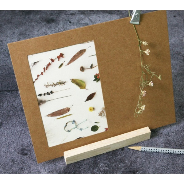 4X6 photo kraft storyboard