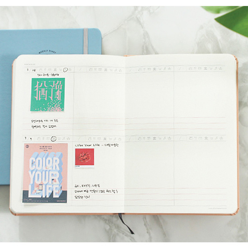 Postscript - 2017 Dot your day weekly dated diary  Postscript - 2017 Dot your day weekly dated diary