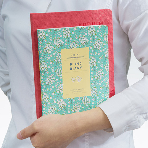 2017 Ardium Bling dated diary scheduler