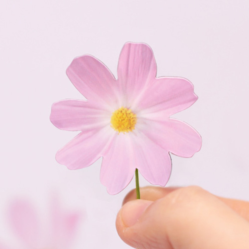 Appree Cosmos magnet set  Appree Cosmos magnet set