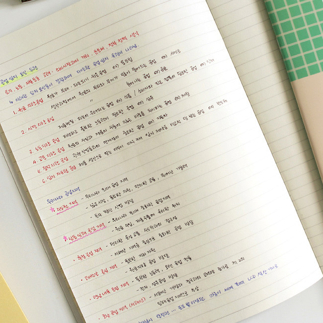 Indigo Monster illustration lined notebook