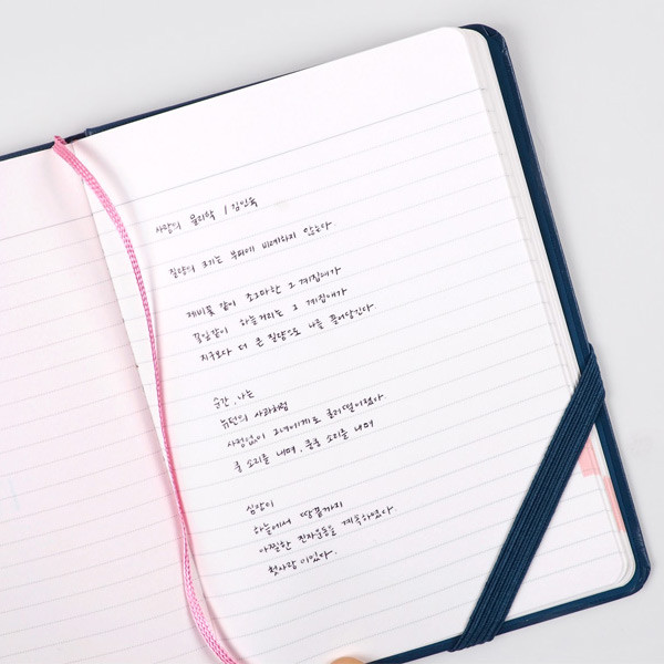 Positive small undated diary scheduler