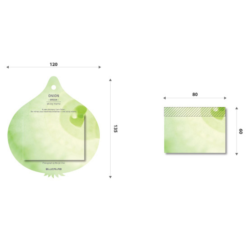 Size of Onion sticky memo notes Size of Onion sticky memo notes