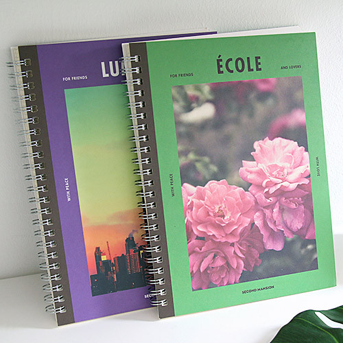 Spiral 1/4 grid notebook