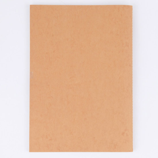 Earth sewn bound B5 lined notebook