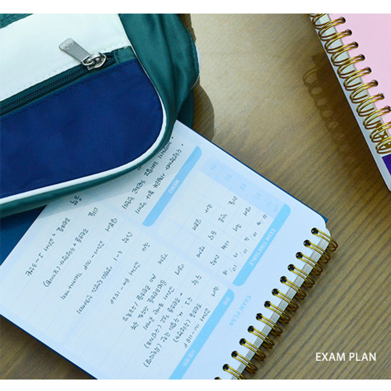 Exam plan - Last 100 days spiral undated planner Exam plan - Last 100 days spiral undated planner