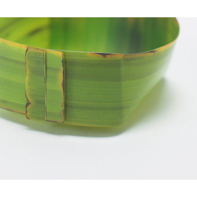 nature vividly with description of pattern of banana leaf realistically