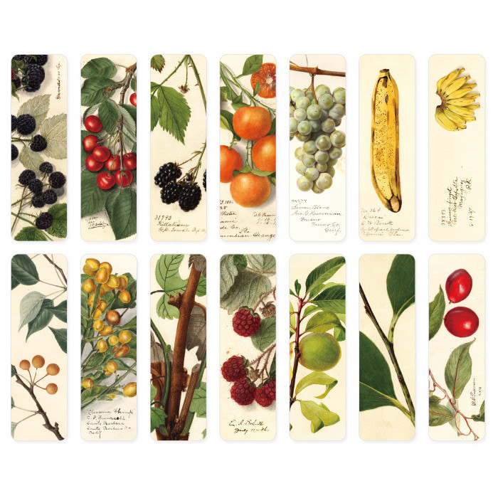 Pack of 28 bookmarks - NACOO Fruits Bookmark Pack