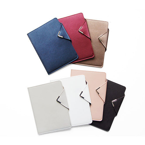 Simple passport holder with magnetic snap closure 