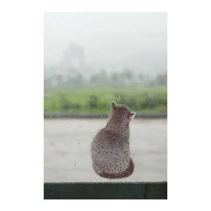 I love cat adhesive deco sticker 2 sheet