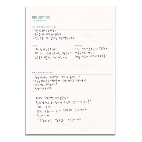 Reflection - Lagom one month undated daily planner