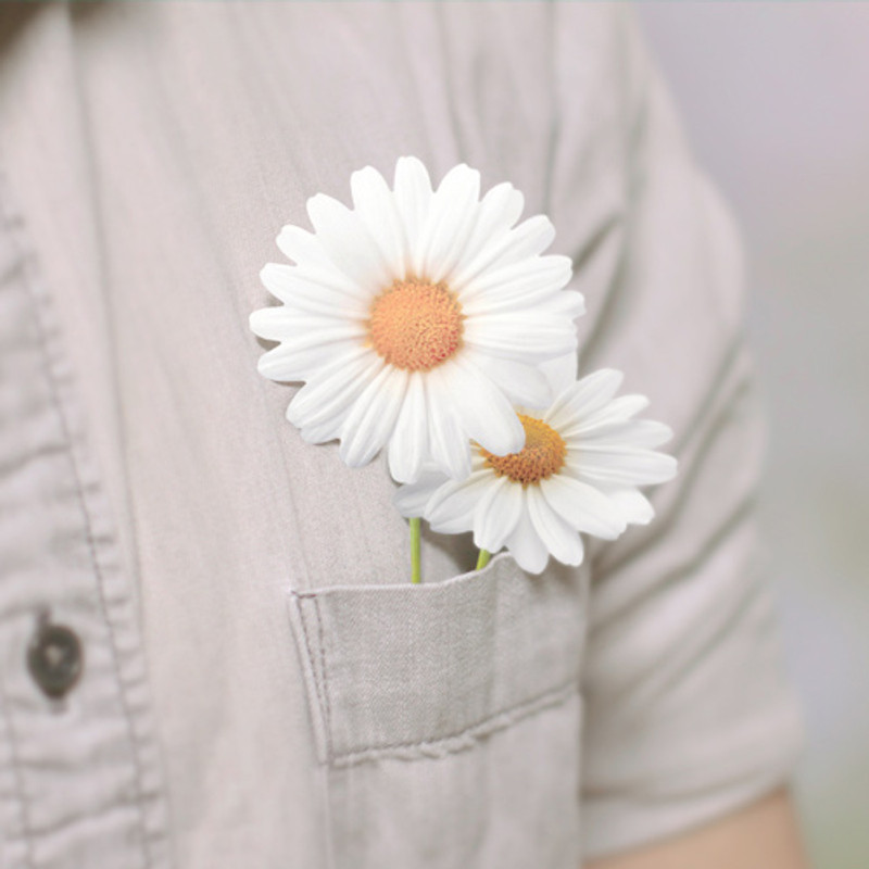 Daisy small sticky memo notes Daisy small sticky memo notes