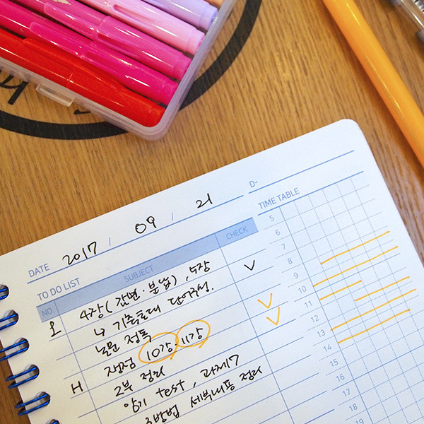 Daily plan - Simple 100 days study planner scheduler