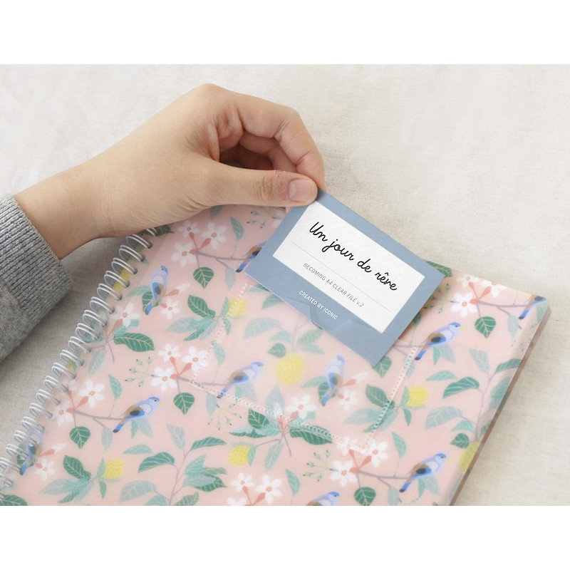 Becoming A4 size clear pockets document file holder 