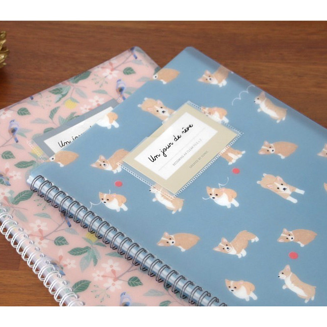 Becoming A4 size clear pockets document file holder